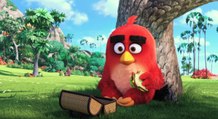 Angry Birds le film : attention, les oiseaux sont lâchés ! Première bande-annonce du film (VF)
