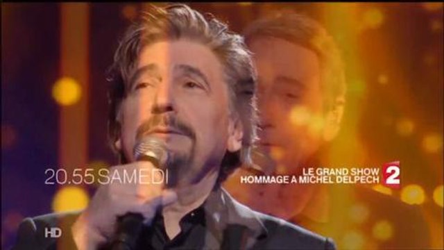 Bande-annonce - Le Grand Show hommage à Miche Delpech (France 2) Samedi 23 janvier