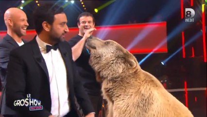Cyril Hanouna effrayé par un ours sur le plateau du Gros Show