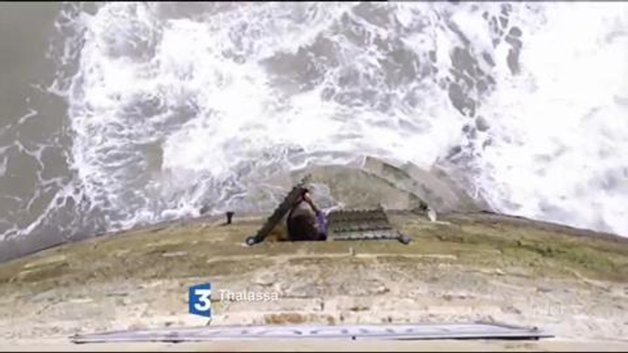 Bande-annonces - Thalassa (France 3) Vendredi 8 janvier