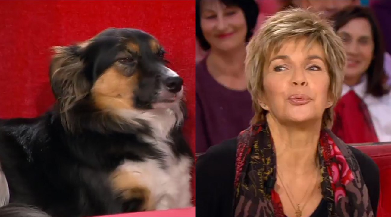Vivement dimanche : Véronique Jannot mordue à la main par la chienne de Michel Drucker