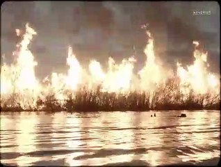 Брат во всём - 2 серия