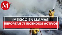 Conafor reporta 71 incendios forestales activos en el país