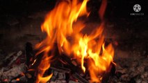 Relaxation - Wood Fire Burning | Fireplace Burning Sound