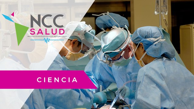 Un equipo médico realiza otro trasplante de riñón de cerdo a humano