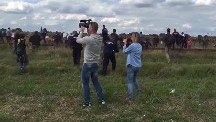 Une journaliste renvoyée pour "comportement inacceptable" envers des migrants