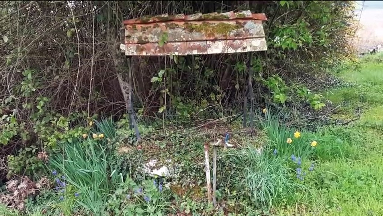 2022-04-VASSELAT/ST-LAURENT/ST-PALAIS