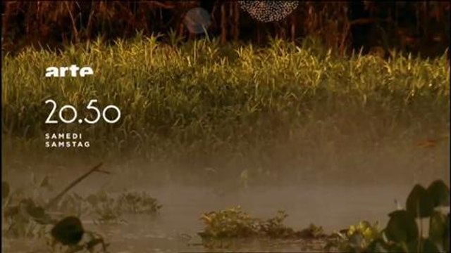 Bande-annonce - Un matin sur terre (Arte) samedi 26 décembre