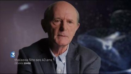 Thalassa fête ses 40 ans france 3 vendredi 20 novembre 2015