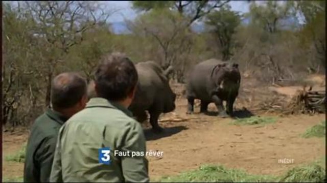 Bande-annonce - Faut pas rêver (France 3) Vendredi 19 février