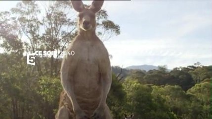 Le voyage de la vie (France 5) 29 décembre