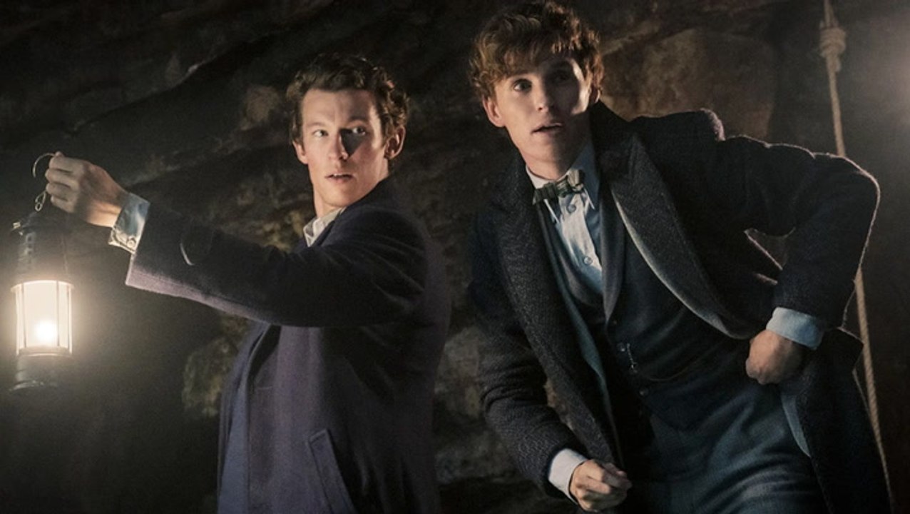 Eddie Redmayne on Why His ‘Fantastic Beasts’ Role Is Similar to Brad Pitt’s in ‘Ocean’s’ Movies | THR News