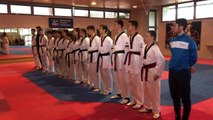 Taekwondo, 7 atleti ucraini accolti dalla Federazione italiana