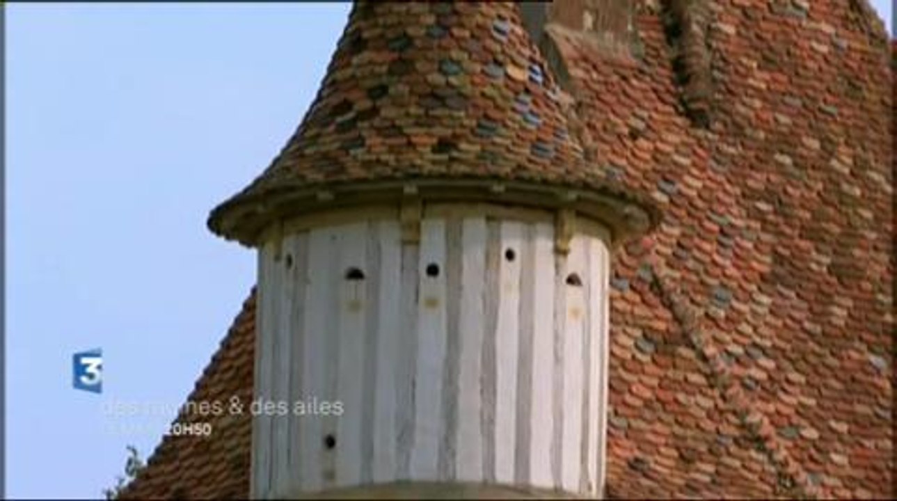 Des racines et des ailes (France 3) 29 avril