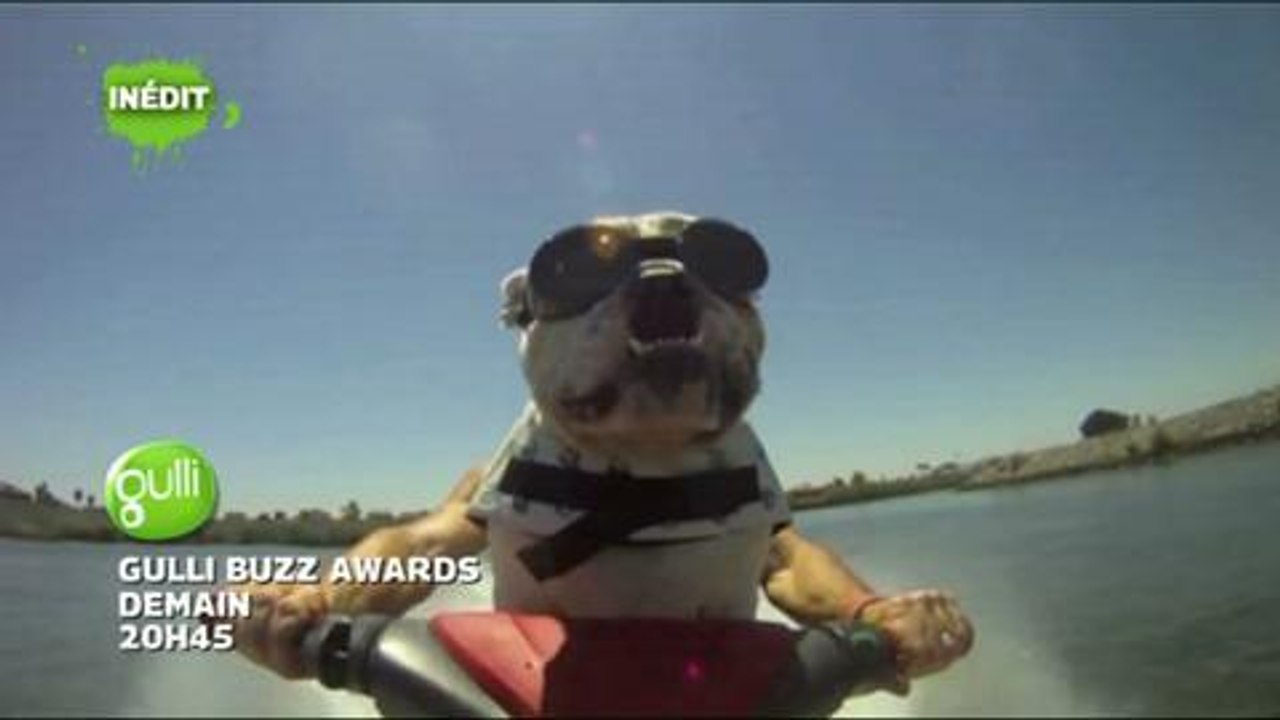 Gulli Buzz Awards (Gulli) 28 août 2014