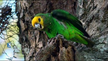 Les gens du fleuve (France 3) 22 août 2014