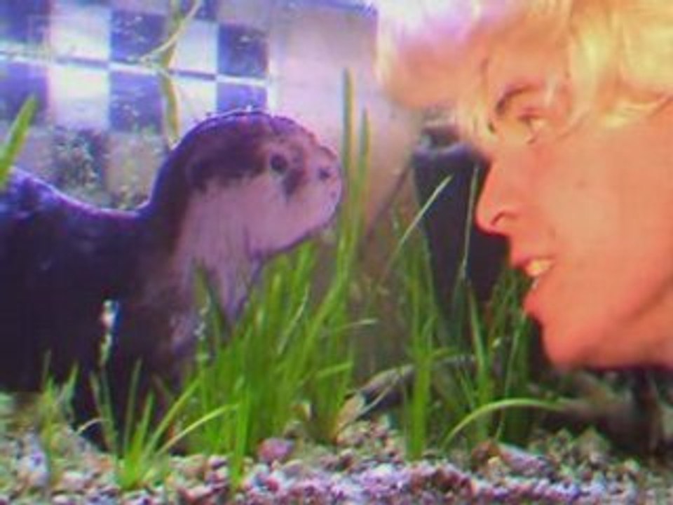 Soape & Rempine Raemons - Otter in love (VHS rip)