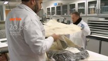 Enquête sur la momie des Tourbières (Arte) 18 octobre