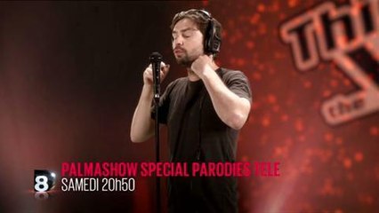 Palmashow spécial parodies télé (D8) 18 octobre
