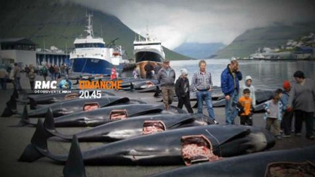 Les justiciers des mers (RMC Découverte) 12 octobre 2014