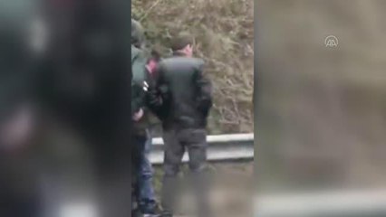 Otomobilin çarptığı karaca telef oldu