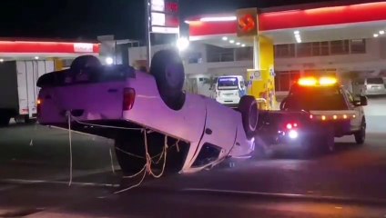 Cientos de pollitos murieron luego de que el vehículo que los transportaba terminara volcado