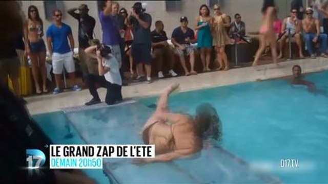 Le grand Zap de l'été (D17)