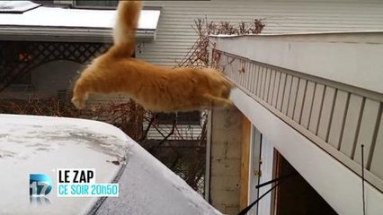 Le Zap (D17) 21 février