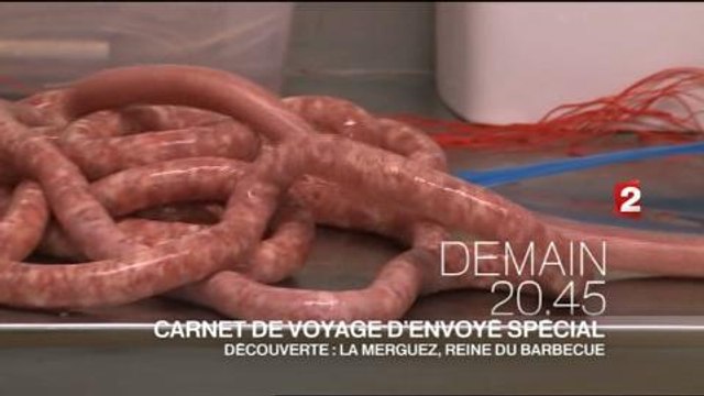 Envoyé spécial (France 2) 15 août