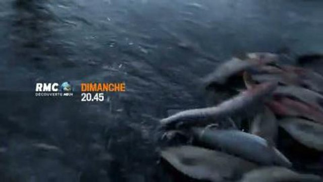 Bush Alaska (RMC Découverte) 19 janvier