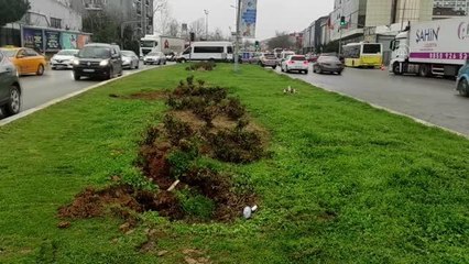 Ataşehir'de caddedeki bazı ağaçlar İBB ekiplerince söküldü