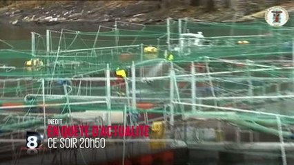 En quête d'actualité (D8) 2 avril