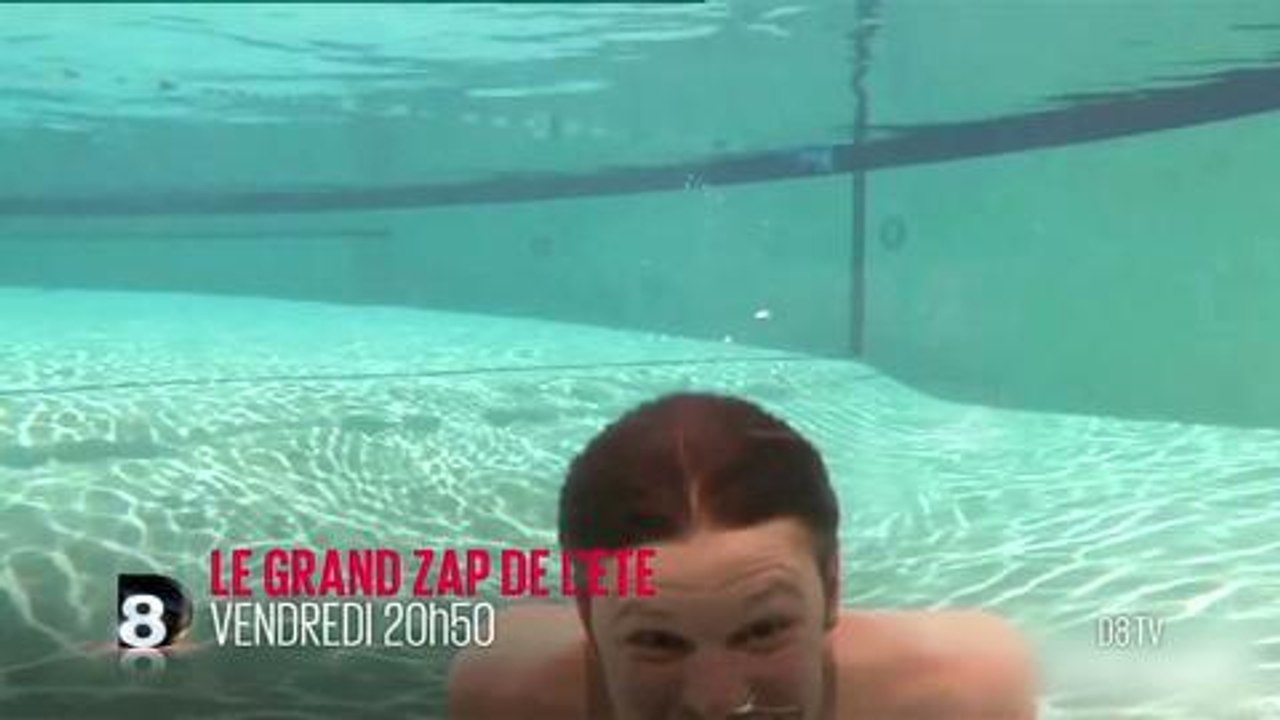 Le grand zap de l'été (D8)
