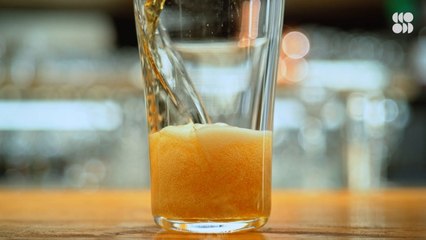 Your Next Burger Could Be Made With Microbes