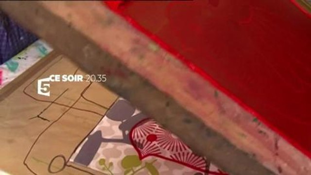 La maison France 5 (Bande-annonce 11 juillet)