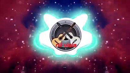 thiago e matheus viola divina