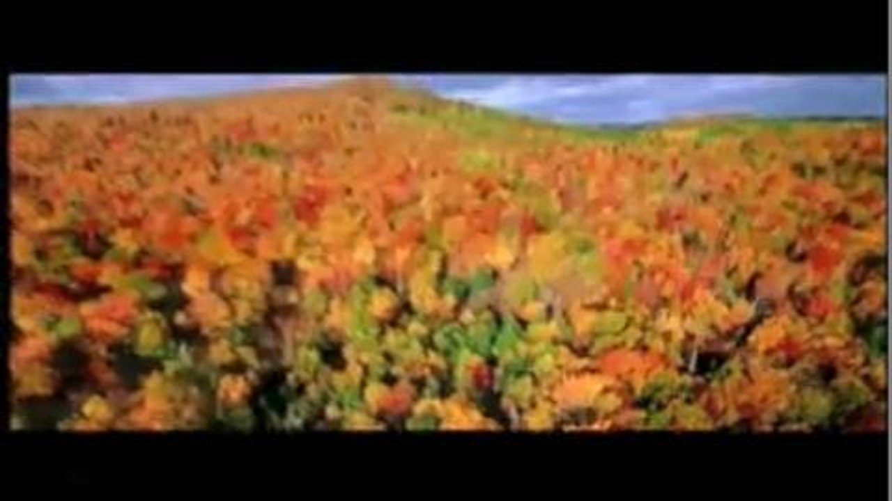 La Terre vue du ciel (Bande-annonce)