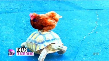 Le Zap (D17) 7 décembre