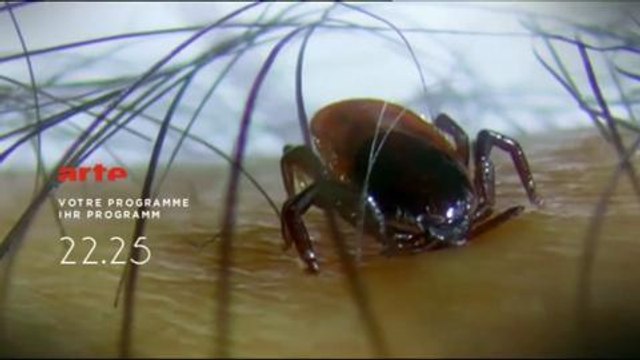 Soirée Arte 3 mai (Bande-annonce)