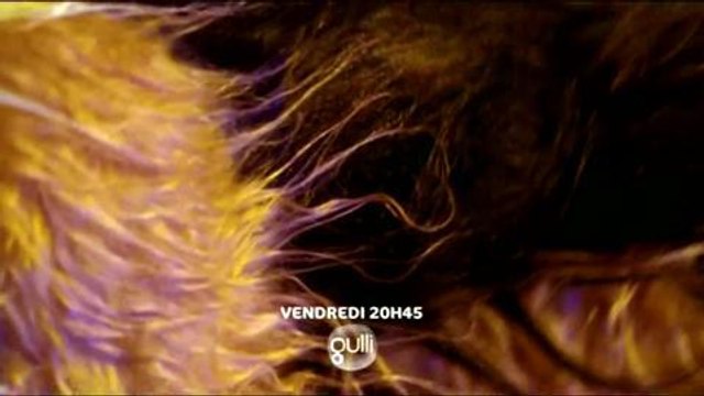 Chéri, j'ai agrandi le chien (Gulli) Bande-annonce 12 octobre