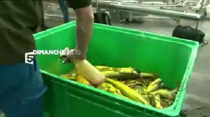 Le scandale du gaspillage alimentaire (France 5) Bande-annonce 3 juin