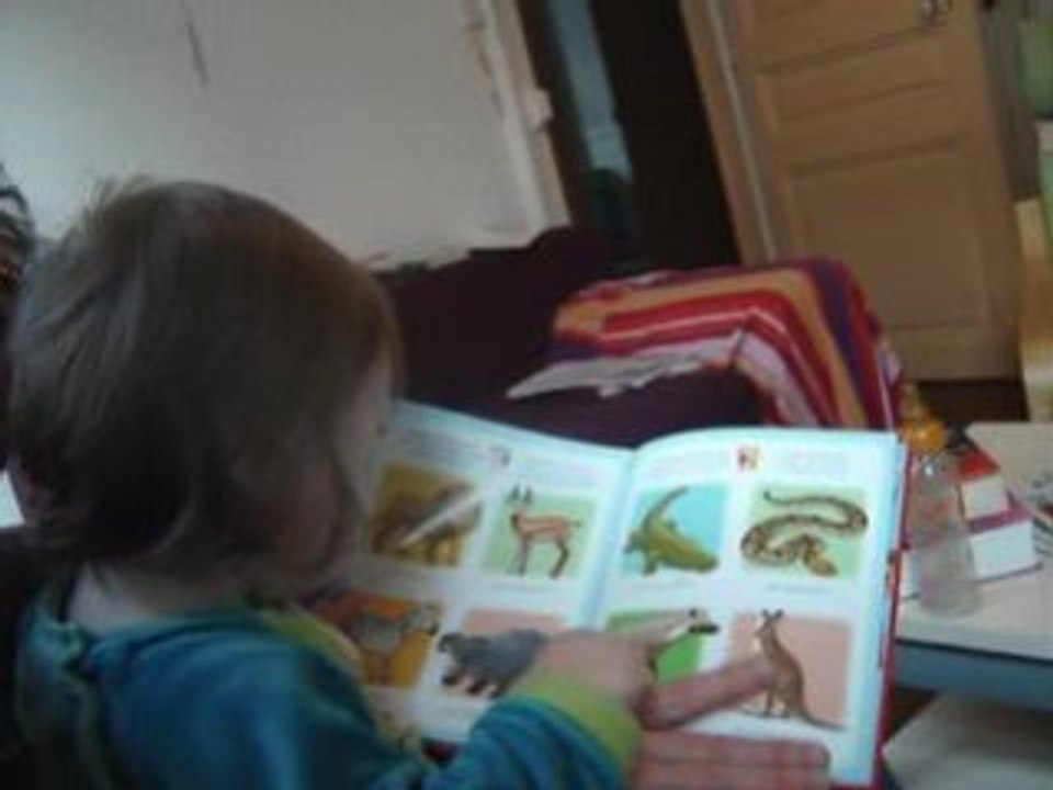 Ferdinand regarde un livre