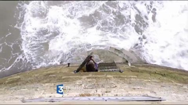 Bande-annonces - Thalassa (France 3) Vendredi 8 janvier