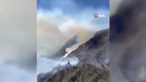 Meksika'da 71 orman yangınıyla zorlu mücadele devam ediyor