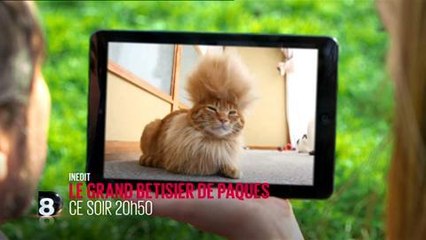 Le grand bêtisier de Pâques (D8) 17 avril