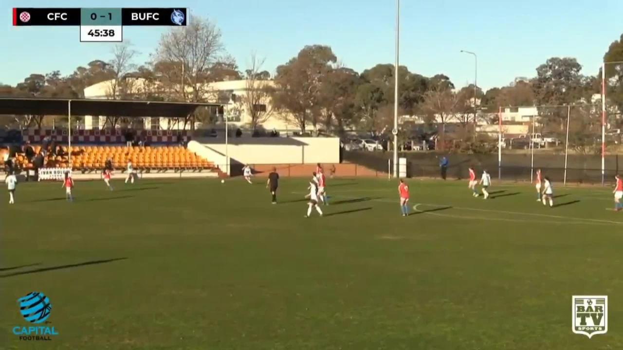 Insolite - Un kangourou arrête un match en Australie