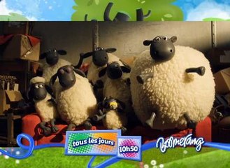 Shaun le mouton (Boomerang)