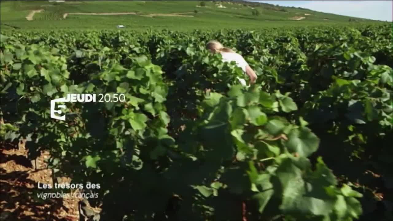 Les trésors des vignobles français - 29 décembre