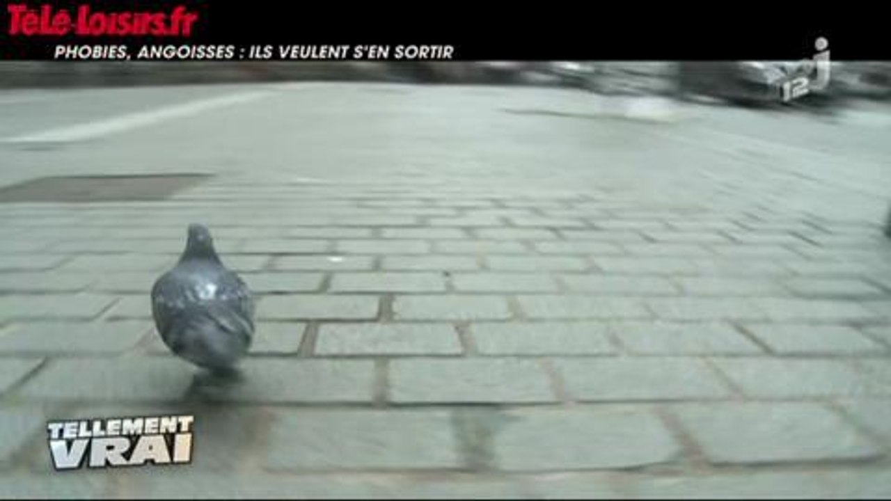 Zapping confessions intimes du 22 mars