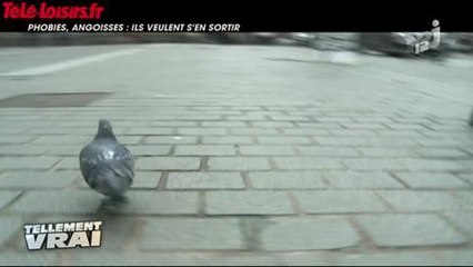 Zapping confessions intimes du 22 mars